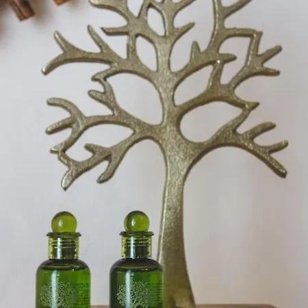 Dp Homes Paros * Angairia