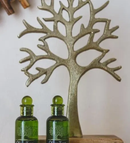 Dp Homes Paros * Angairiá